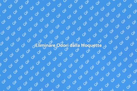 Rimozione Odori dalla Moquette