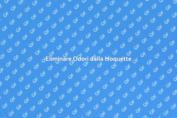 Rinfresca la Tua Moquette