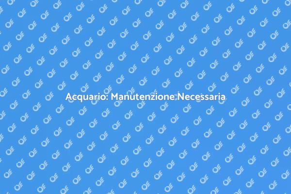 Pronto Soccorso per il Tuo Acquario