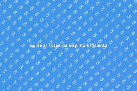 Tosaerba a Spinta per Prati Piccoli