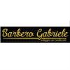 Noleggio con Conducente Barbero Gabriele 