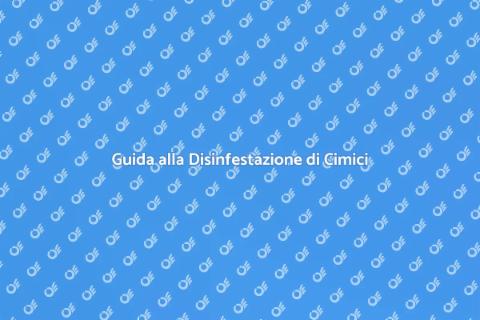 Disinfestazione di Cimici Efficace