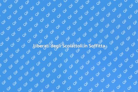 Rimuovere Scoiattoli dalla Soffitta