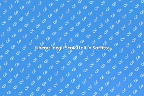 Come Eliminare Gli Scoiattoli In Soffitta