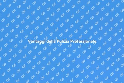 Servizio di Pulizia Professionale