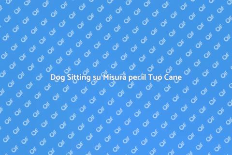 Servizio di Dog Sitting Personalizzato