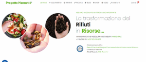 Webmt service - Foto 8