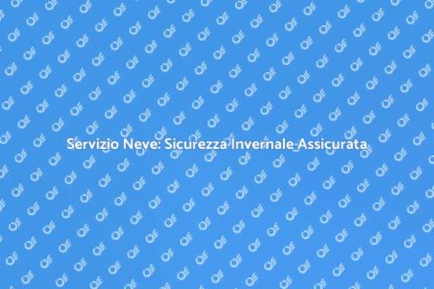 Rimozione Rapida della Neve Efficace