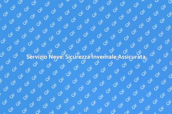 Rimozione Neve: Sicurezza e Prontezza
