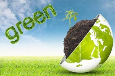 Ars Ecologia  - Foto 6