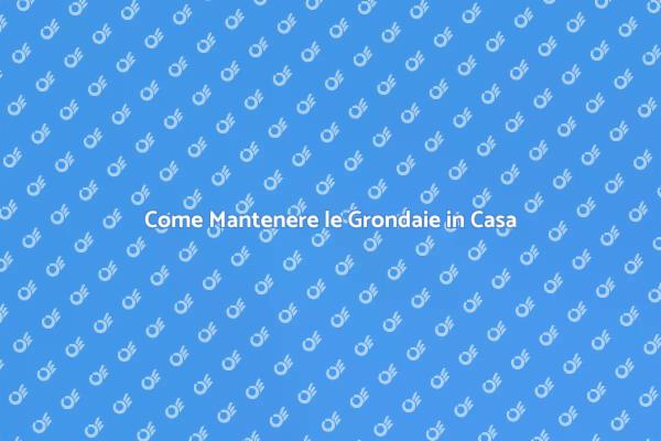 Manutenzione Grondaie: Tutto Quello che Devi Sapere