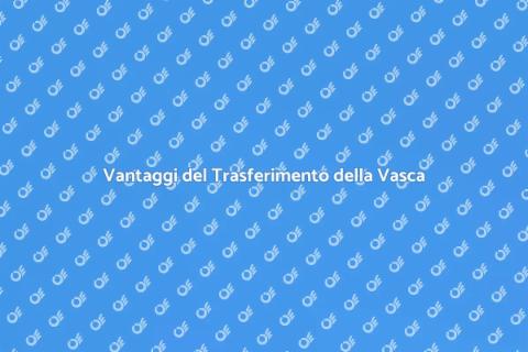 Trasferire la Vasca: Guida Pratica