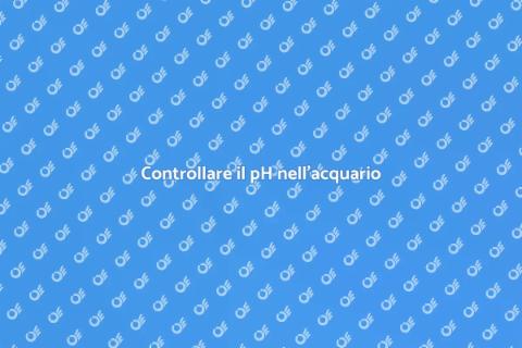 Testare il pH dell'acqua dell'acquario