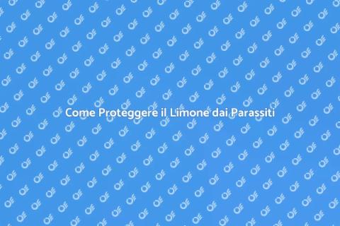 Salvaguardare il Limone dai Parassiti