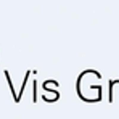 Vis Group