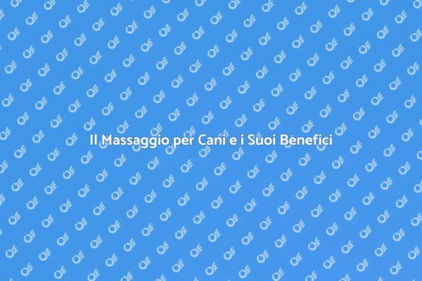Rendi Felice il Tuo Cane con un Massaggio