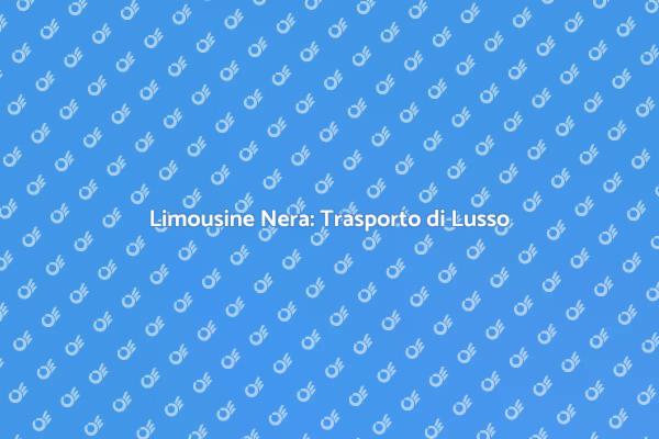 Limousine Nera: Comfort e Stile Assicurati