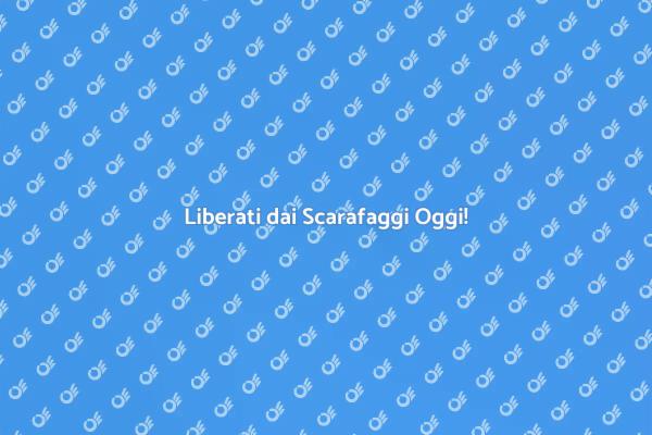 Soluzioni Efficaci per Scarafaggi