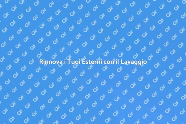 Trasforma il Tuo Giardino con il Lavaggio