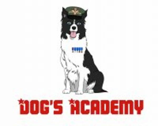 Dogs Accademy - Foto 1
