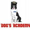 Dogs Accademy