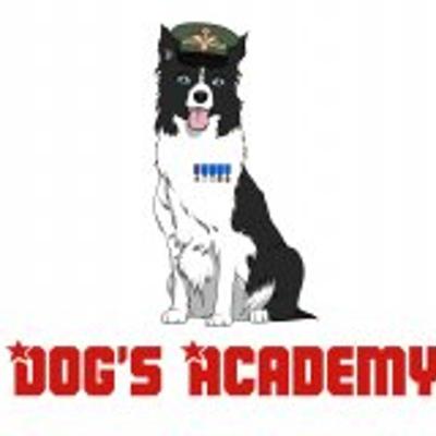Dogs Accademy