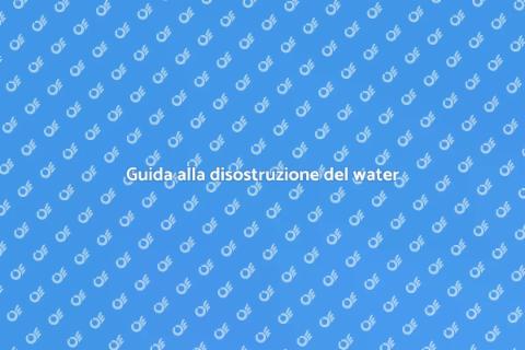 Disostruzione del water in bagno