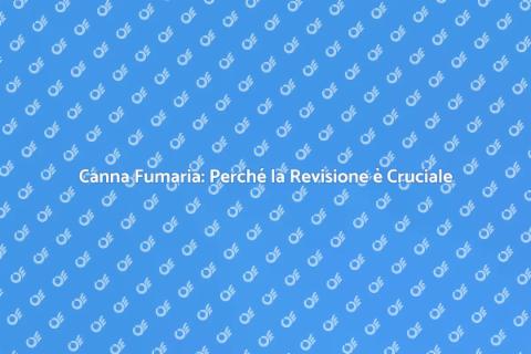 Revisione Canna Fumaria: Sicurezza Essenziale