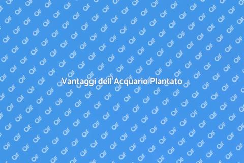 Acquario Plantato: Benessere e Bellezza