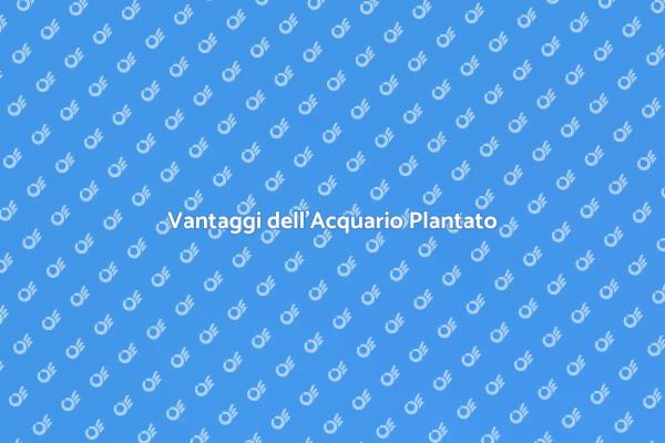 L'Acquario Plantato: Un Ecosistema da Scoprire