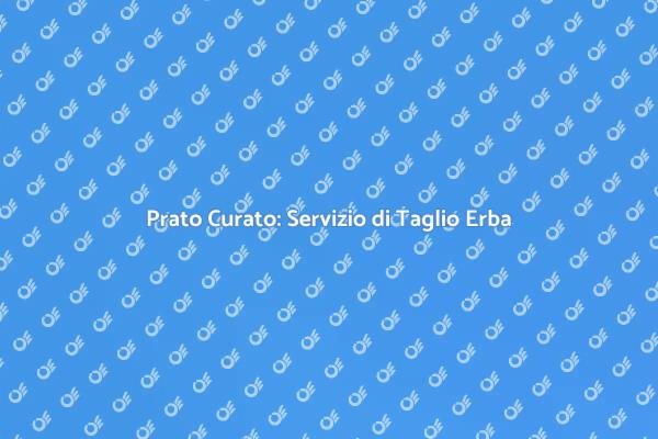 Rendi il Tuo Giardino Perfetto