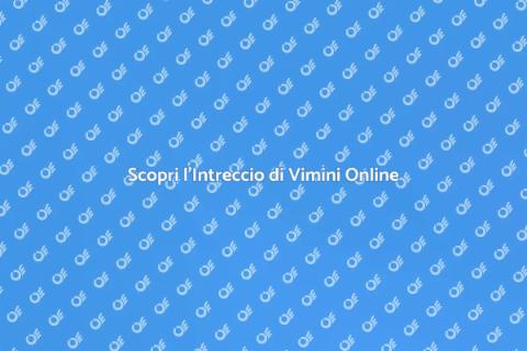 Corso Online di Intreccio di Vimini