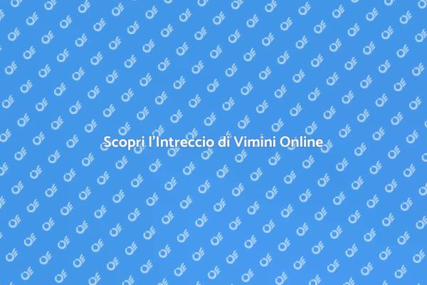 Corso di Intreccio di Vimini Online