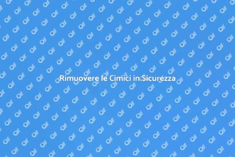 Cimici: Come Eliminare in Modo Sicuro