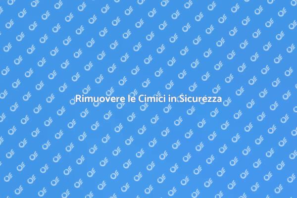 Soluzioni Sicure per Eliminare le Cimici