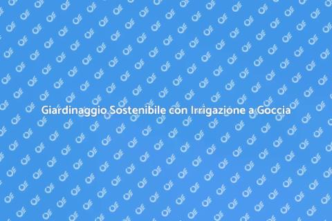 Impianto Irrigazione a Goccia Efficiente