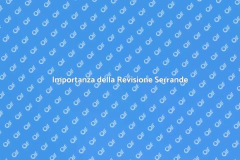 Revisione Serrande Elettriche Essenziale