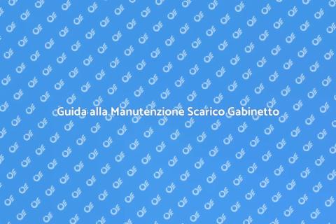 Manutenzione Scarico Gabinetto Efficace