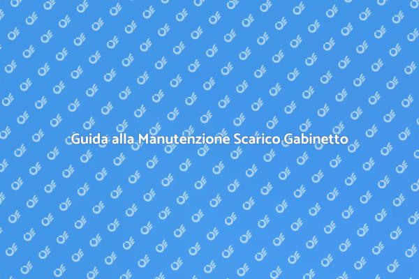 Scarico Gabinetto: Manutenzione Essenziale