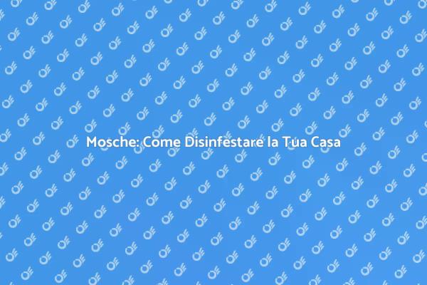 Liberati dalle Mosche in Casa