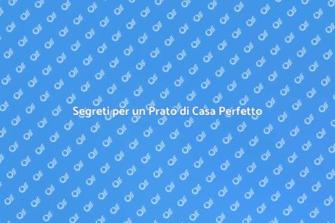 Cura del Prato di Casa: Segreti Utili