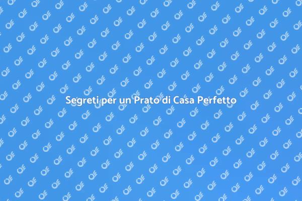 Prato Curato: I Segreti da Conoscere