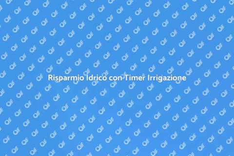 Timer per Irrigazione Sostenibile