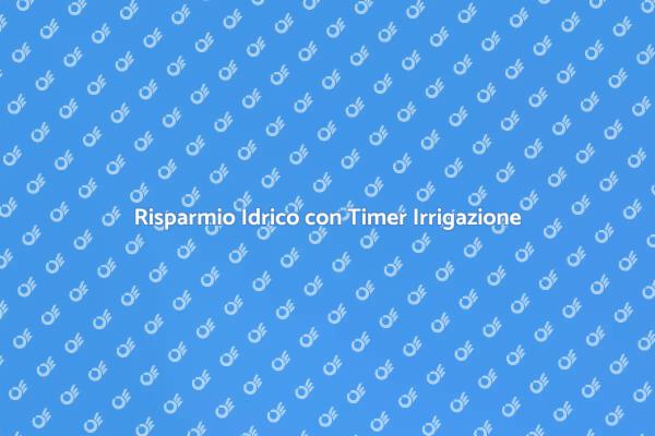 Timer per Irrigazione: Eco-Friendly e Efficace