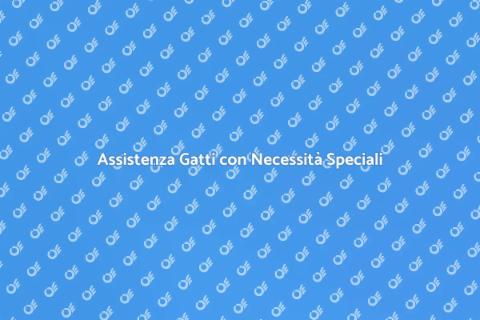 Cat Sitter per Gatti Speciali