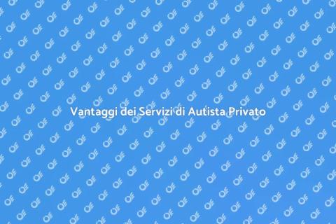 Servizi di Autista Privato a Roma
