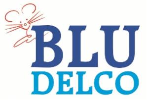 BLU DELCO - Foto 1
