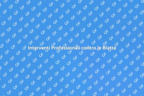 Soluzioni Efficaci contro le Blatte