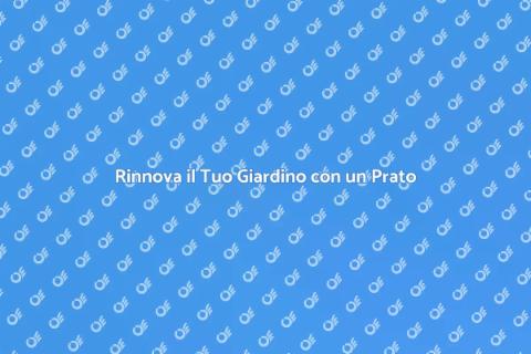 Piantare un Nuovo Prato in Giardino