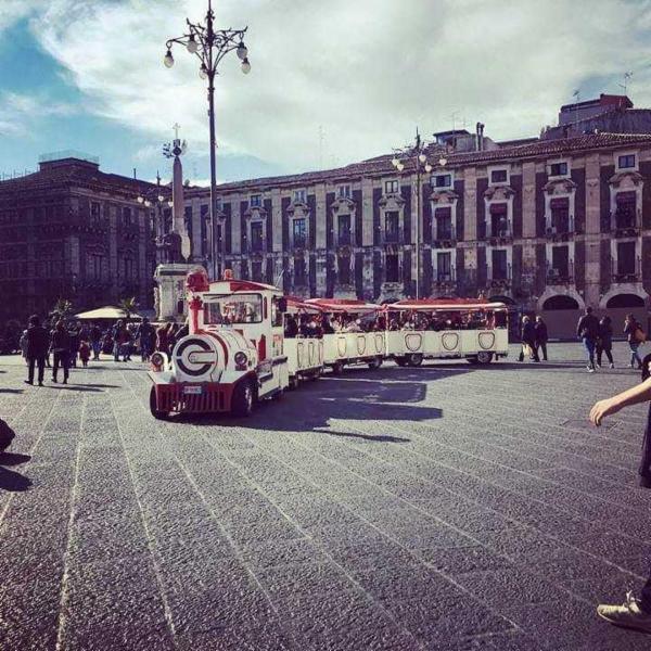 Tourist Service  - Foto 5
